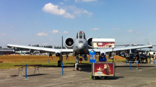 warthog1
